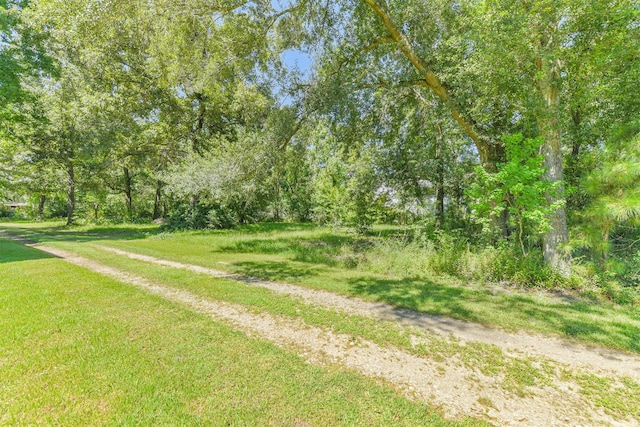 27556 Fm 2090th Rd, Splendora, TX 77372 - photo 3