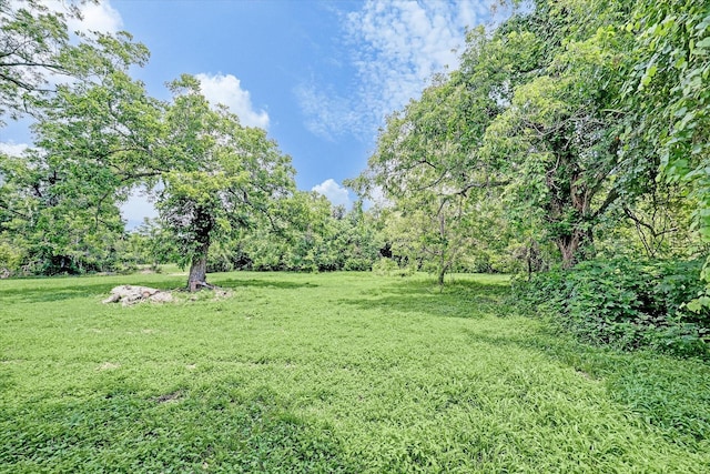 1007 Evans Rd, Rosenberg, TX 77471 - photo 3