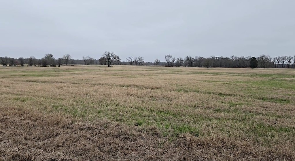 1038 Creekside Ln, Lexington, TX 78947 - photo 2