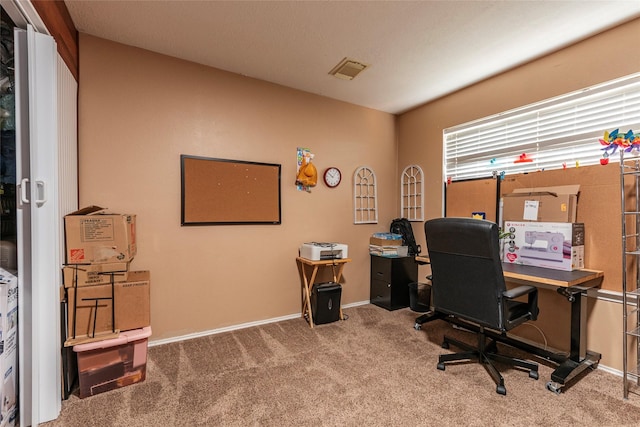 12123 Country Orchard Ln, Houston, TX 77089 - photo 27