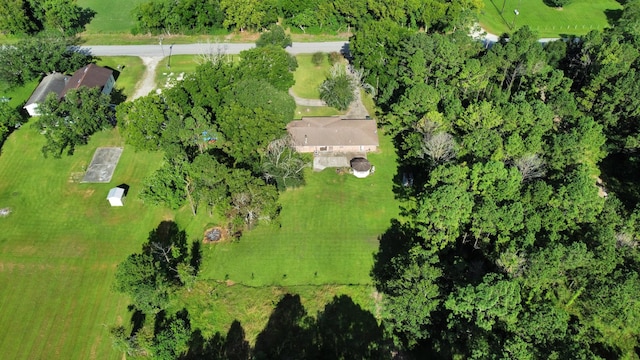5322 County Road 155, Alvin, TX 77511 - photo 37