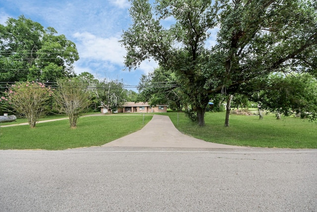 5322 County Road 155, Alvin, TX 77511 - photo 6
