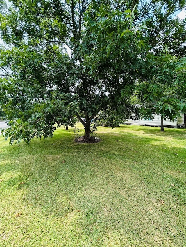 8158 Easton St, Houston, TX 77017 - photo 4