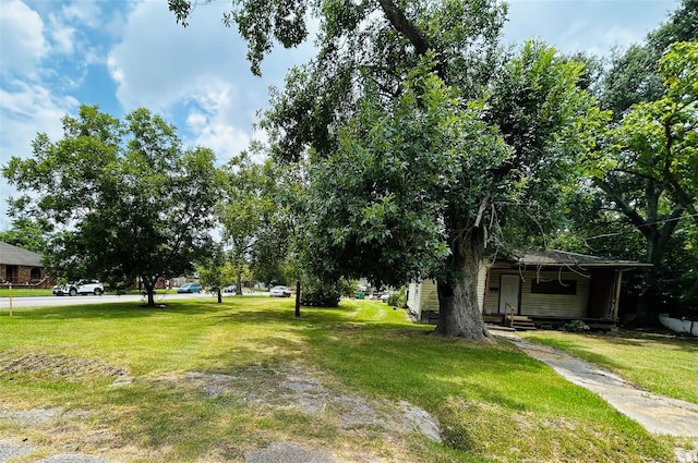8158 Easton St, Houston, TX 77017 - photo 6