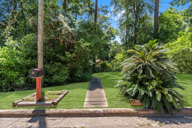 114 Hillendale Dr, Livingston, TX 77351 - photo 5