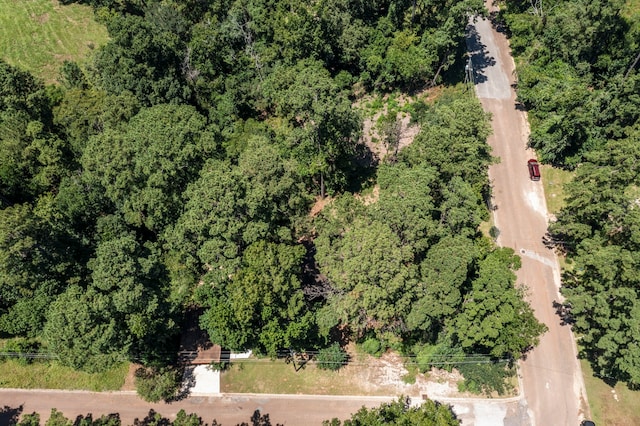 114 Hillendale Dr, Livingston, TX 77351 - photo 43