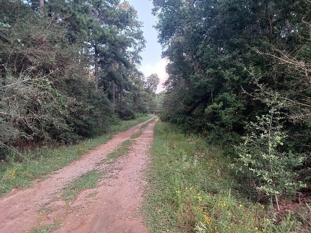 24124 Grand Pines Rd, Magnolia, TX 77355 - photo 3