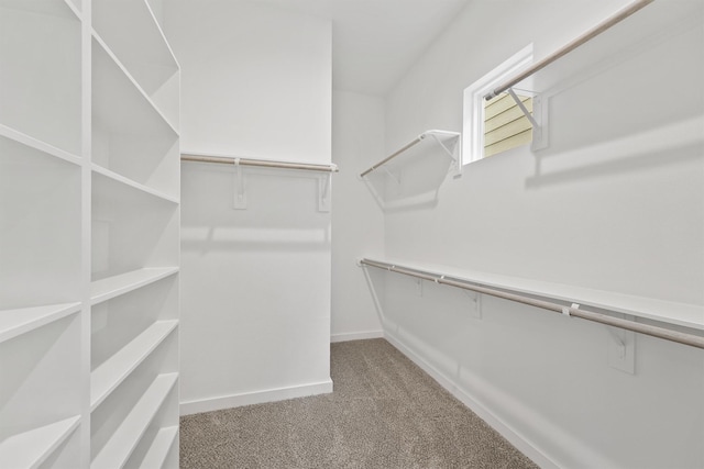 1221 Highland Row Ln, Houston, TX 77091 - photo 19