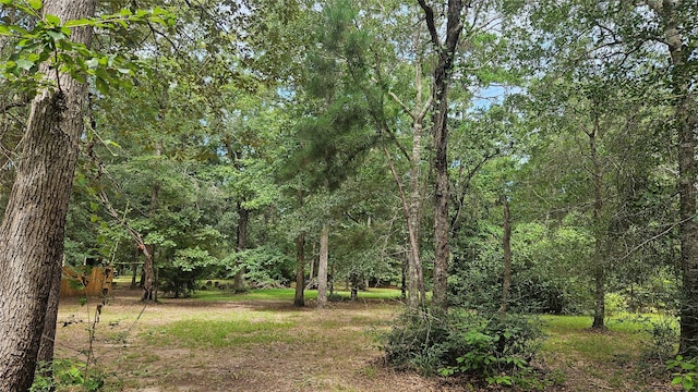 LOT12 Bridle Ct, Waller, TX 77484 - photo 2