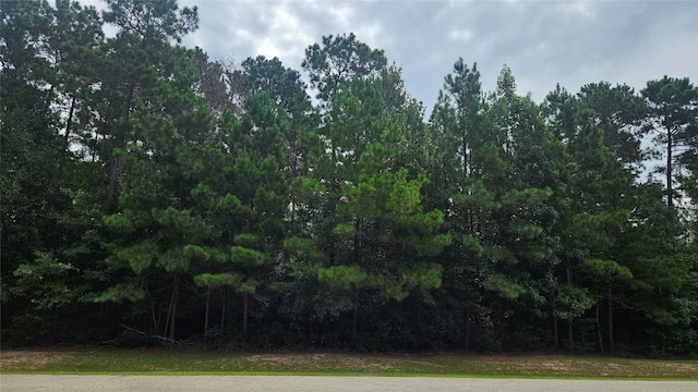 LOT12 Bridle Ct, Waller, TX 77484 - photo 10