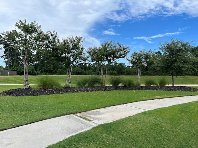 11411 Monashee Ct, Tomball, TX 77375 - photo 29