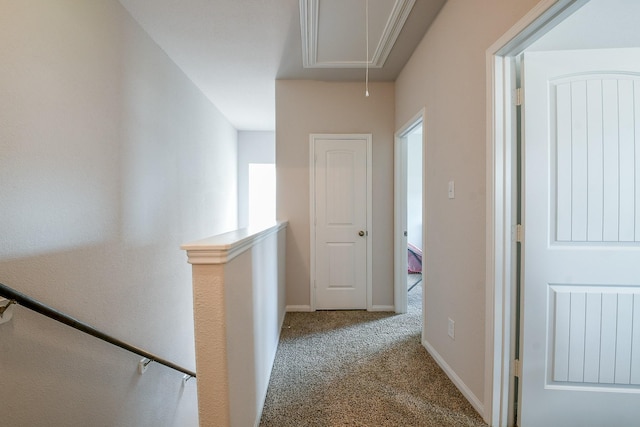 24967 Goldoni Dr, Katy, TX 77493 - photo 19
