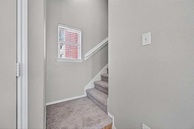 18419 Austin Oak Ln, Richmond, TX 77407 - photo 16