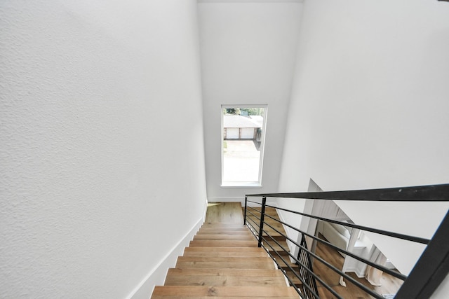 3528 Luca St, Houston, TX 77021 - photo 37