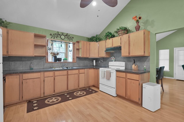 10301 Dogwood Loop, Montgomery, TX 77316 - photo 12