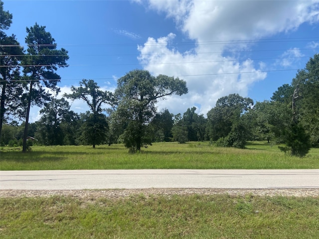 LOT2 Dahlia Rd, Huntsville, TX 77320 - photo 2