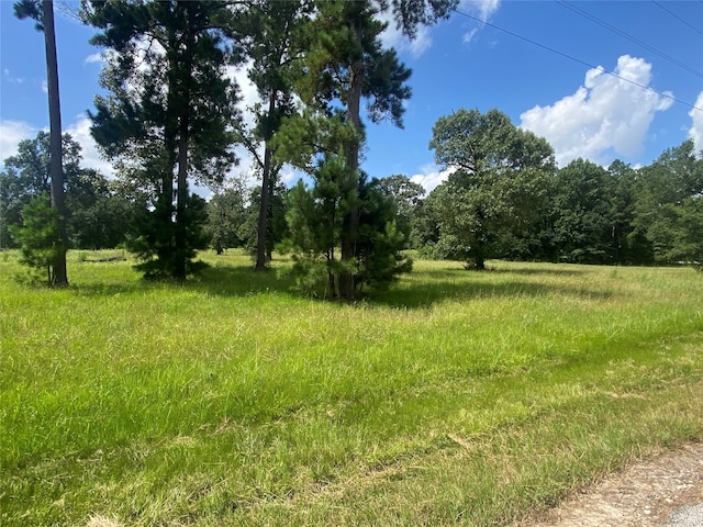 LOT2 Dahlia Rd, Huntsville, TX 77320 - photo 3