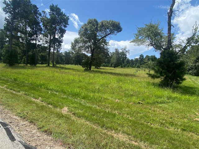 LOT2 Dahlia Rd, Huntsville, TX 77320 - photo 4