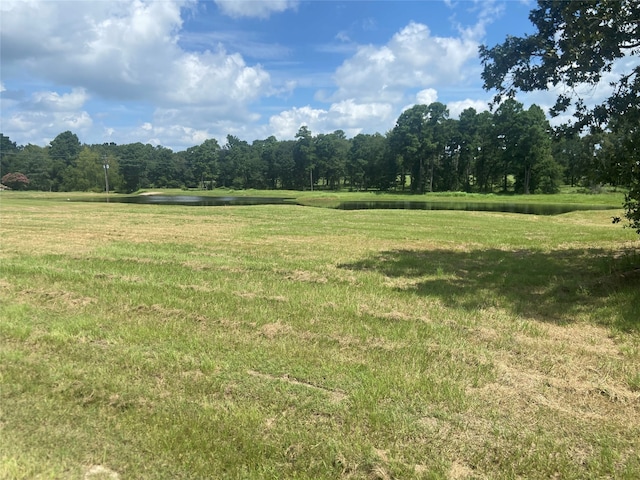 LOT2 Dahlia Rd, Huntsville, TX 77320 - photo 5