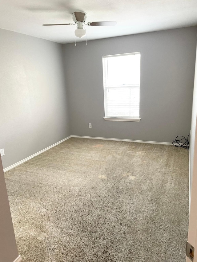 6906 Woodridge Row Dr, Houston, TX 77087 - photo 29