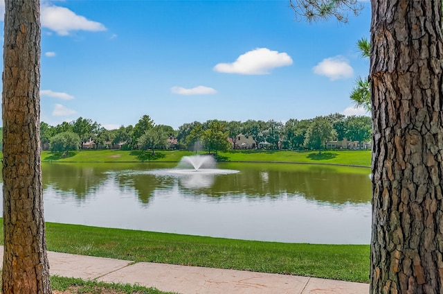 8847 Aberdeen Park Dr, Houston, TX 77095 - photo 40