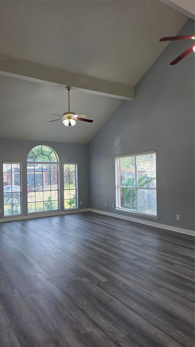 16403 Salinas Ln, Houston, TX 77095 - photo 5