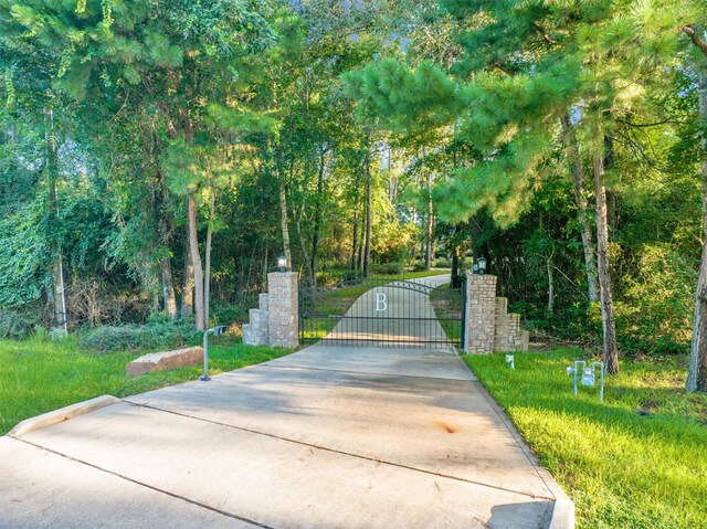 11018 Lake Windcrest, Magnolia, TX 77354 - photo 4