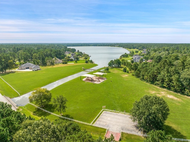 11018 Lake Windcrest, Magnolia, TX 77354 - photo 48