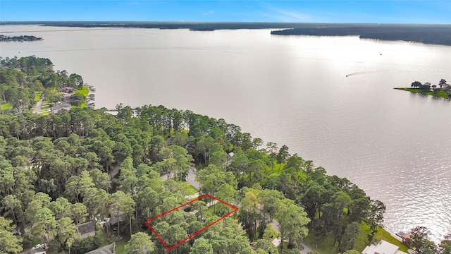 15692 Lakeway Dr, Willis, TX 77318 - photo 33