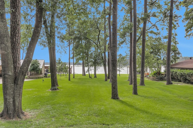 15692 Lakeway Dr, Willis, TX 77318 - photo 17