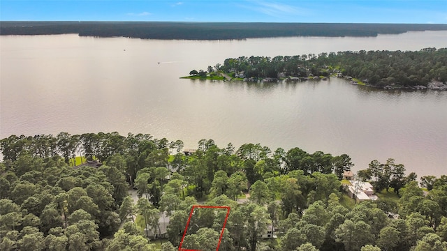 15692 Lakeway Dr, Willis, TX 77318 - photo 8
