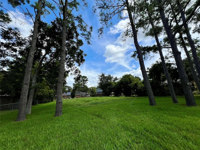 1513 Maria St, League City, TX 77573 - photo 6