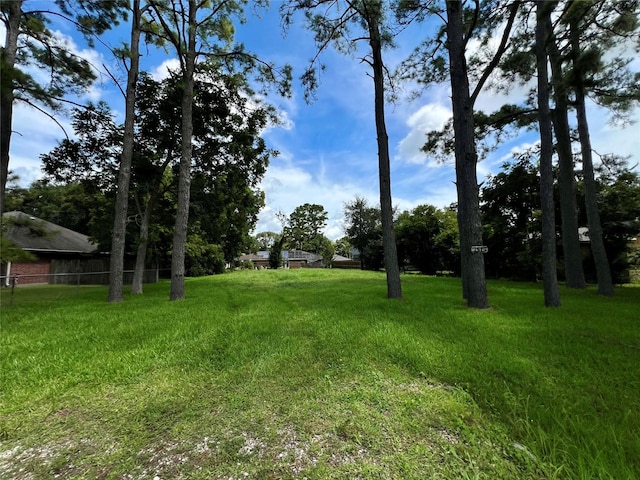 1513 Maria St, League City, TX 77573 - photo 1