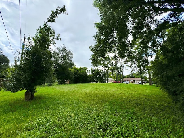 1513 Maria St, League City, TX 77573 - photo 10