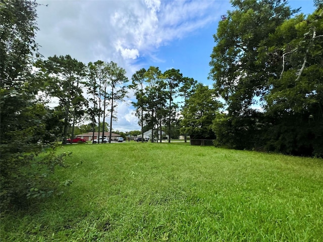 1513 Maria St, League City, TX 77573 - photo 9