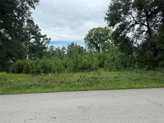 10100 Plum Grv, Cleveland, TX 77327 - photo 5