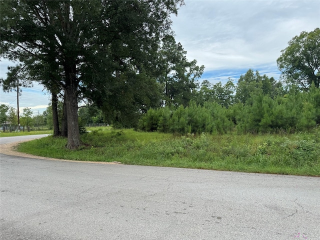 10100 Plum Grv, Cleveland, TX 77327 - photo 6