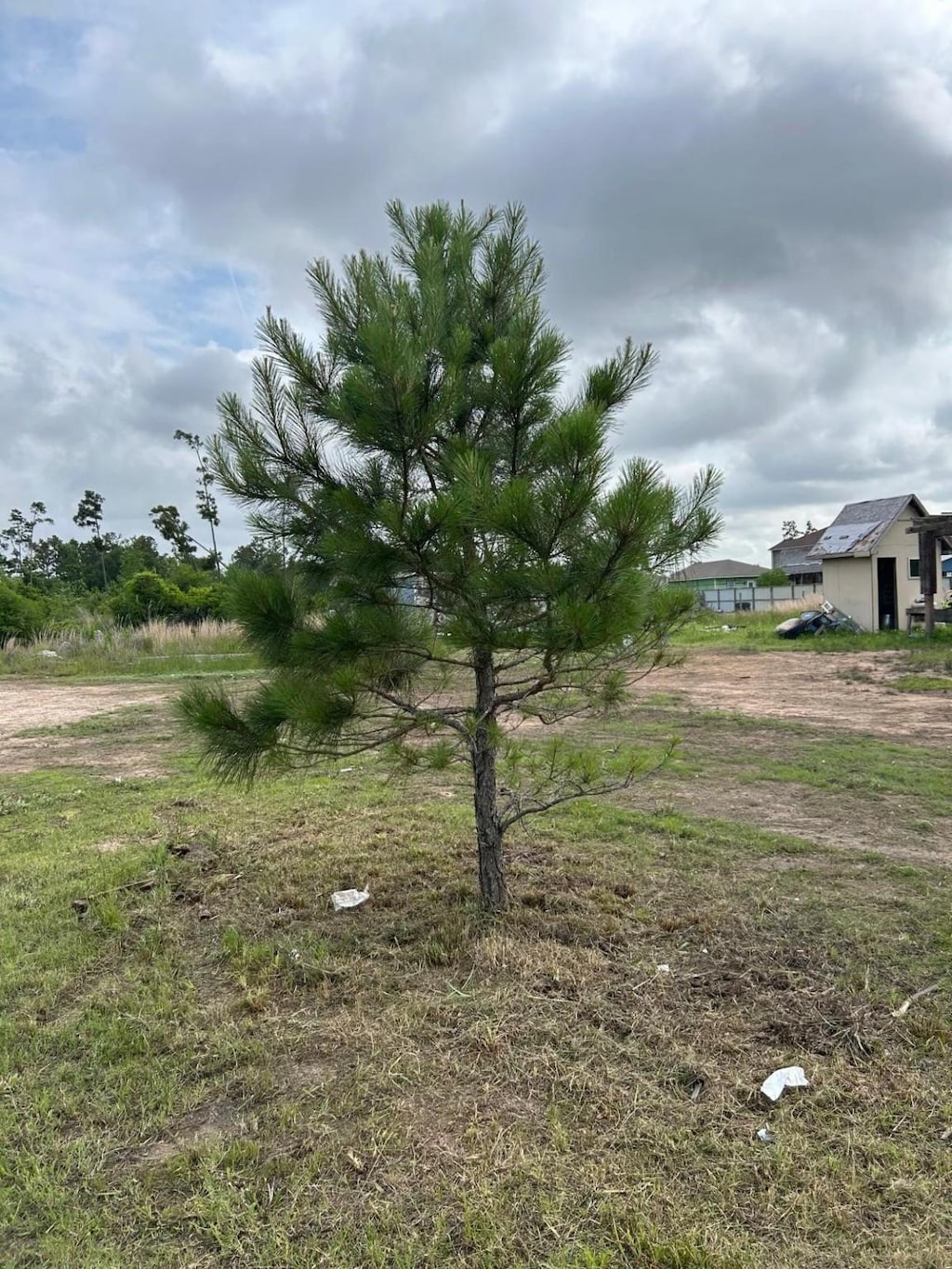 65 Rd 5215, Cleveland, TX 77327 - photo 3