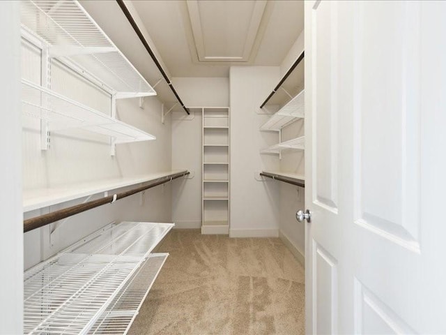 3212 N Macgregor Way Unit C, Houston, TX 77004 - photo 22