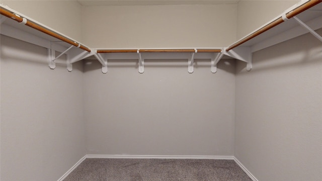 19826 Creston Cove Ct, Cypress, TX 77433 - photo 22