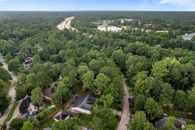 55 Terraglen Dr, Big Spring, TX 77382 - photo 34