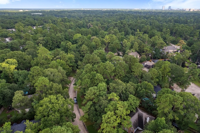 55 Terraglen Dr, Big Spring, TX 77382 - photo 35