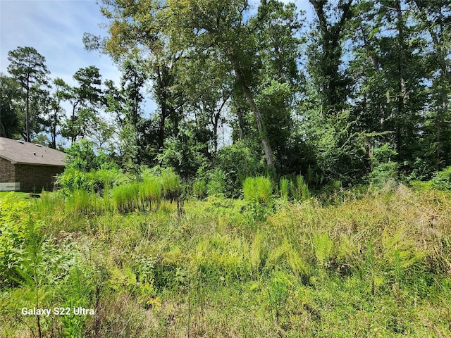 2751 N Colosseum, Roman Forest, TX 77357 - photo 4