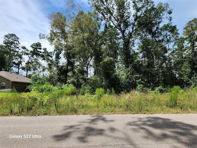 2751 N Colosseum, Roman Forest, TX 77357 - photo 5