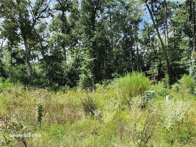 2751 N Colosseum, Roman Forest, TX 77357 - photo 8