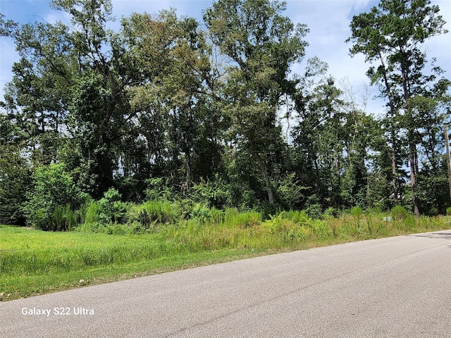 2751 N Colosseum, Roman Forest, TX 77357 - photo 9
