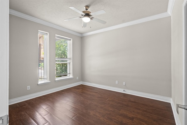1636 Cohn St, Houston, TX 77007 - photo 3