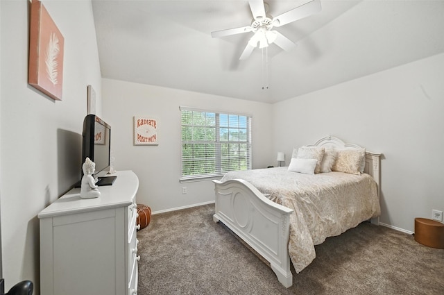 24214 Pine Canyon Falls Cir, Tomball, TX 77375 - photo 38