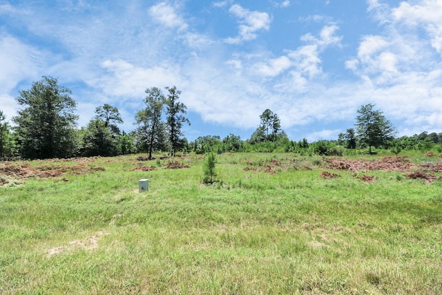 269 County Road 5025, Cleveland, TX 77327 - photo 3
