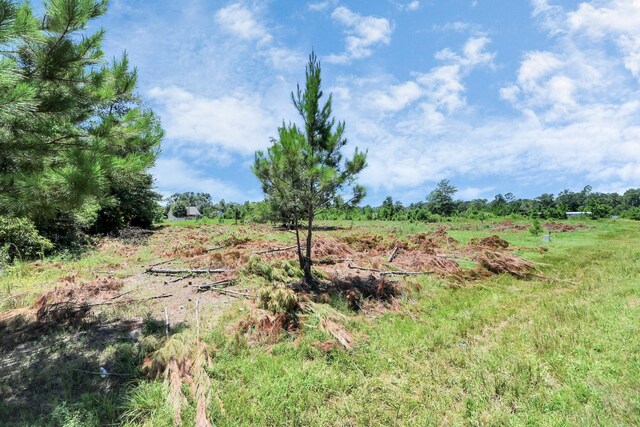 269 County Road 5025, Cleveland, TX 77327 - photo 11